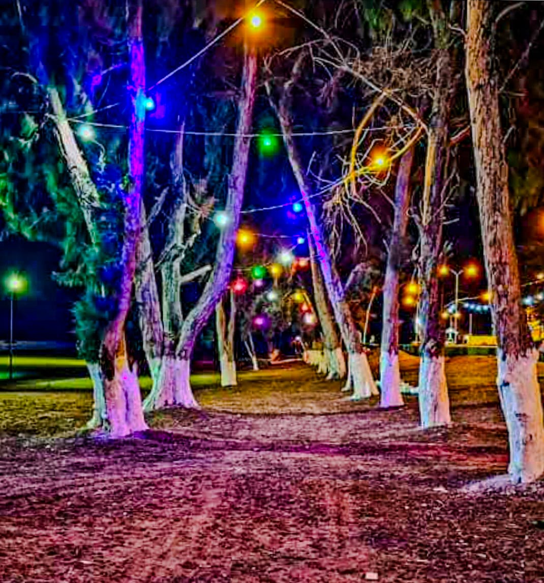 Vida noturna